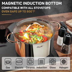 8 Quart Stock Pot, 3 Ply Whole Clad Stainless Steel Stock Pot, Gas /Dishwasher