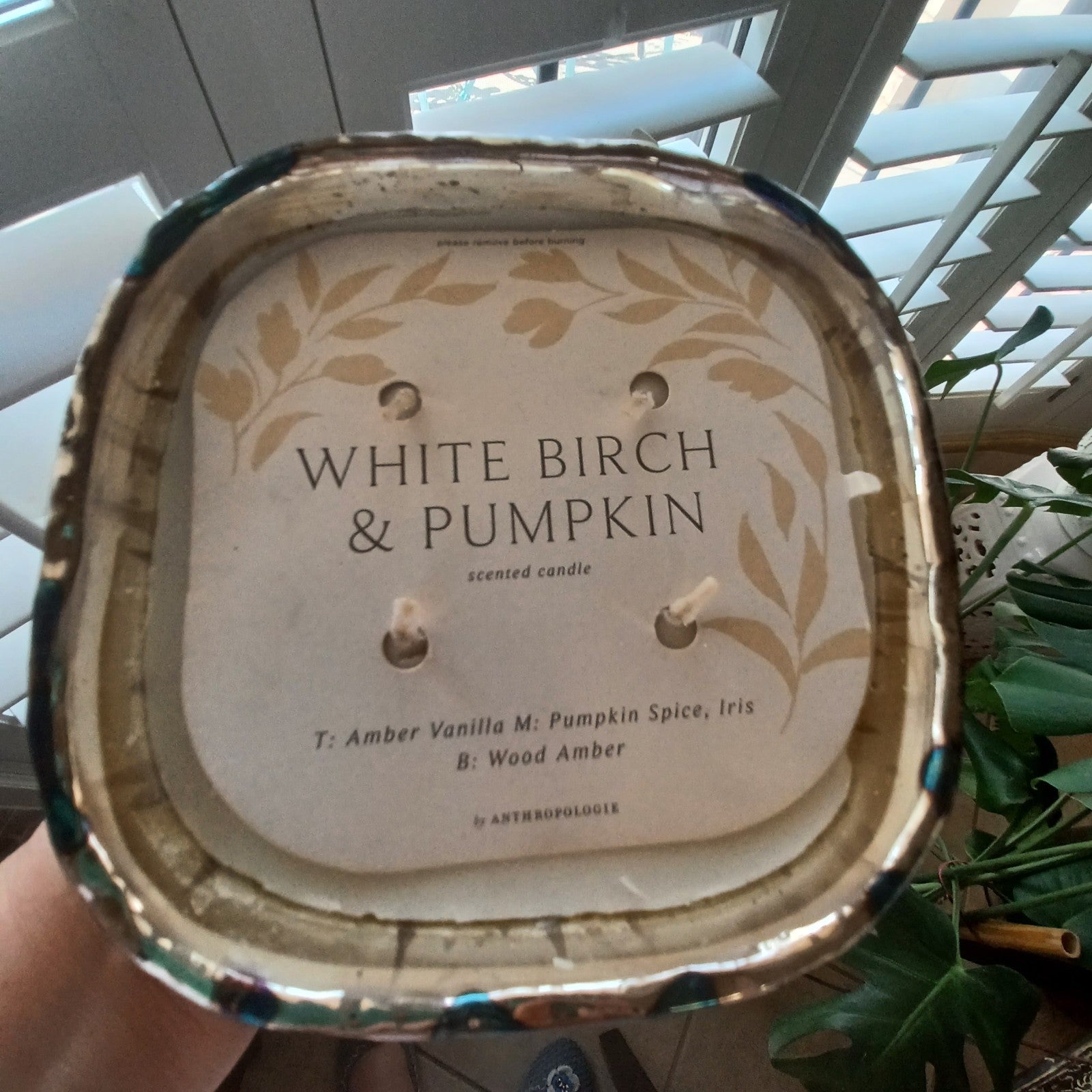 ANTHROPOLOGIE PEBBLE WHITE BIRCH & PUMPKIN GLASS CANDLE HUGE VERY LGE FENG SHUI ANTHROPOLOGIE - KOEEK