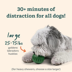 Interactive Dog Toys to Eliminate Boredom - Silicone Dog Treat Molds 07FC0E-D4 - KOEEK