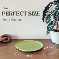 Dinnerware Plates (Set of 6), 10-inch Modern Spiral Porcelain Plate, Earth Color 07FC0E-D4 - KOEEK