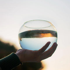 Glass Bubble Vase (H-4.5" W-5.5", Approx. 1/4 Gal.) Small Fish Bowl 07FC0E-D4 - KOEEK