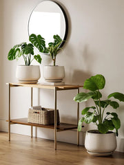 Ceramic Planter with Drainage Hole and Tea Tray Beige Reactive Glaze Planter