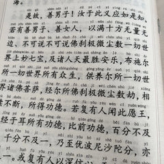 Large Print Universal Worthy Vows Sutra 32K Pinyin Two-Color Buddhist Textbook 07FC0E-D4 - KOEEK
