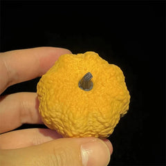 Creative Pumpkin Look Magnetic Fidget Clicker EDC Adult Fidget Toys ADHD Tool 07FC0E-D4 - KOEEK