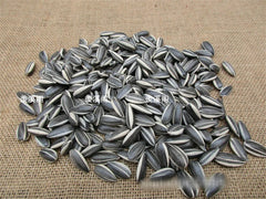 US STOCK! 100pcs Art Ai Weiwei Porcelain Sunflower Seeds Decoration Collection 07FC0E-D4 - KOEEK
