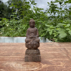 Redwood Wood Carved Vairocana Buddha Statue 15cm Zodiac Goat Monkey Guardian 07FC0E-D4 - KOEEK
