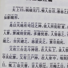 Liao Fan's Four Lessons Simplified Pinyin Recitation Buddhist Sutra Textbook 07FC0E-D4 - KOEEK