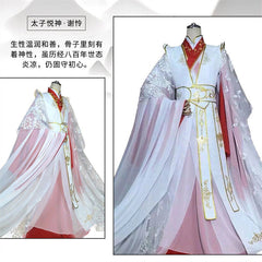 Tian Guan Ci Fu Princess Xie Lian Costume Full Set Cosplay Chinese Hanfu Outwear 07FC0E-D4 - KOEEK