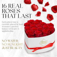 Boxed Preserved Roses - A Gift for Her, Your Wife, or Mother Red - 16 Pieces 07FC0E-D4 - KOEEK