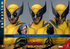 Hot Toys MMS753 Deadpool & Wolverine Wolverine 1/6 Action Figure IN STOCK HOT_TOYS - KOEEK