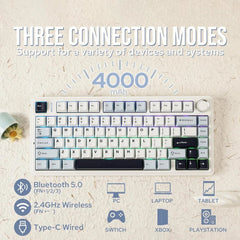 Mechanical Keyboard, 75% Wireless Hot Swap Gaming Keyboard 07FC0E-D4 - KOEEK