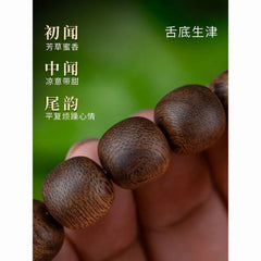 12mm Vietnamese Nha Trang Agarwood Natural Prayer Beads Bracelet Men Aged Qi Nan 07FC0E-D4 - KOEEK