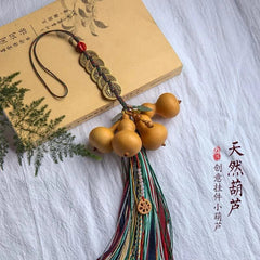 Feng Shui Gourd Pendant with Five Emperor Coins for Home Car Office Decor 07FC0E-D4 - KOEEK