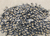 100PCS Art Ai Weiwei Ceramic Porcelain Decoration Collections Watermelon Seeds 07FC0E-D4 - KOEEK