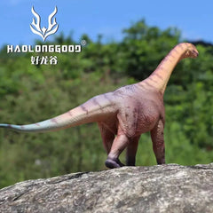 HAOLONGGOOD Camarasaurus Dinosaur Statue PVC Model Display Han Tao IN STOCK HAOLONGGOOD - KOEEK