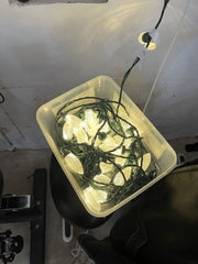 3 Sets NOMA Quick-Clip LED Christmas Lights – Warm White NOMA - KOEEK