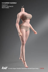 ANT T307 1/6 Female Normal Sexy Large Bust Muscle Plump Body For 12''Figure 07FC0E-D4 - KOEEK