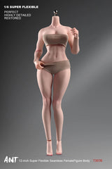 ANT T307 1/6 Female Normal Sexy Large Bust Muscle Plump Body For 12''Figure 07FC0E-D4 - KOEEK