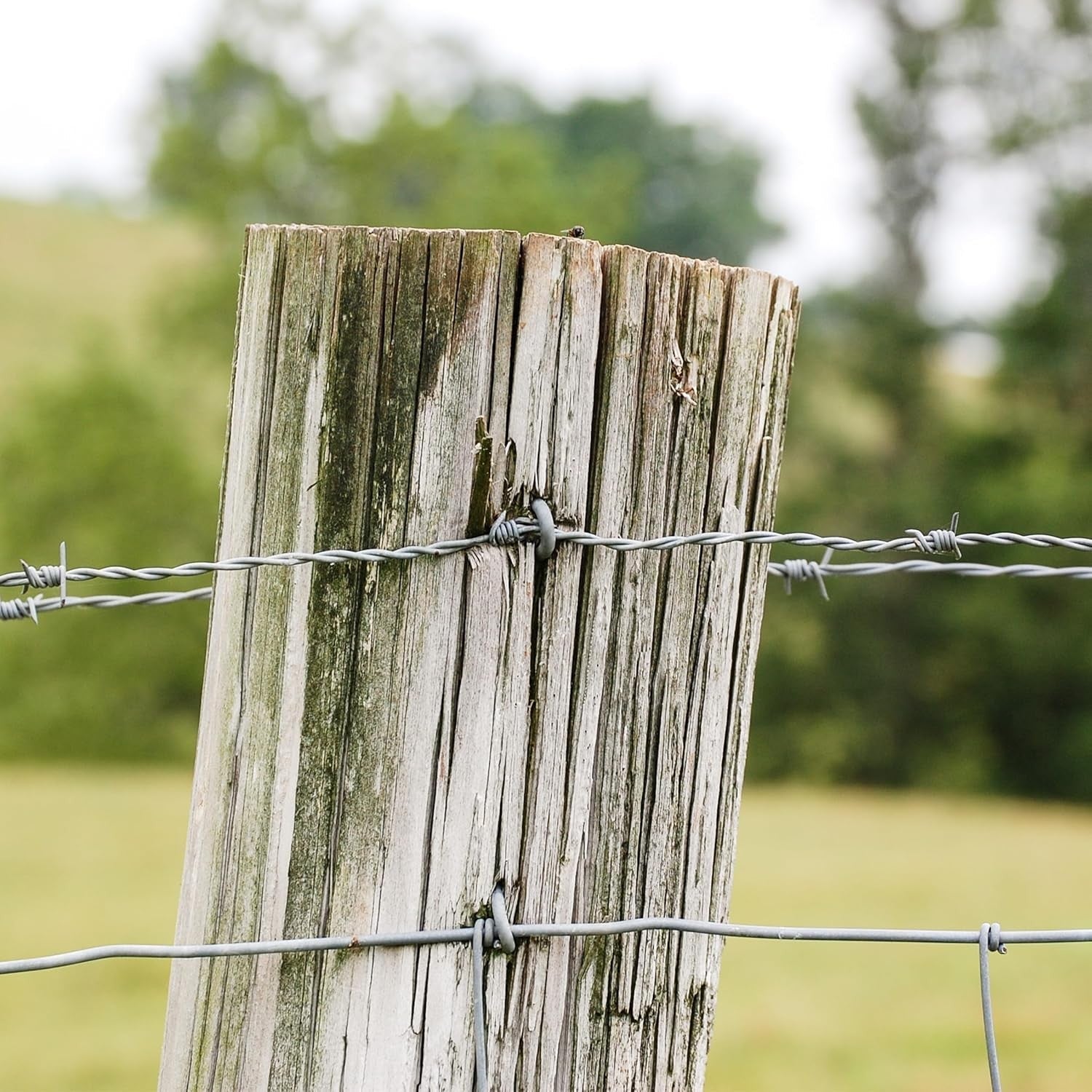 new Bates Choice Fence Staples, 200 pcs, 1" Galvanized Steel, Silver, U Silver BATES CHOICE - KOEEK