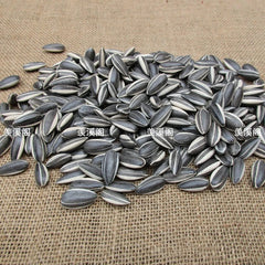 US STOCK 100pcs Art Ai Weiwei Porcelain Sunflower Seeds Decoration Collection 07FC0E-D4 - KOEEK