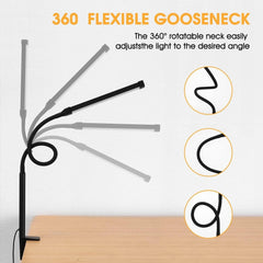 LED Desk lamp with Clamp, Eye-Caring Clip on Lights for Home Office, 3 Modes 10 07FC0E-D4 - KOEEK