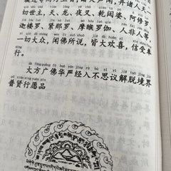 Large Print Universal Worthy Vows Sutra 32K Pinyin Two-Color Buddhist Textbook 07FC0E-D4 - KOEEK