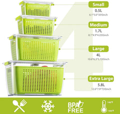 Fruit and vegetable storage box,set of 4 refrigerator storage containers 07FC0E-D4 - KOEEK
