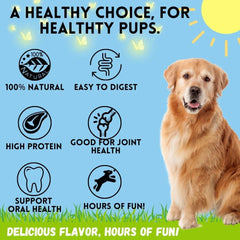 12-inch Collagen Dog Treat Sticks (Regular Size - 8-Pack) - Dog Bone Treats 07FC0E-D4 - KOEEK