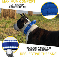 Heavy Duty Dog Collar for Large Dogs - Reflective Royal Blue 07FC0E-D4 - KOEEK