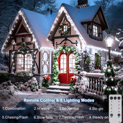 C9 Christmas String Lights 66ft 100 LED Strawberry Lights UL Plug C9 String L... 07FC0E-D4 - KOEEK