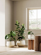 Ceramic Planter with Drainage Hole and Tea Tray Beige Reactive Glaze Planter 07FC0E-D4 - KOEEK
