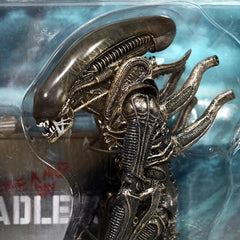 NECA Alien Hadleys Hope Carter J.Burke Xenomorph Warrior 2 Pack 7" Action Figure NECA - KOEEK