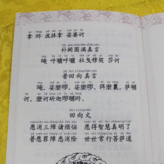 Buddha's Teaching on Rain Jewel Dharani Large Print Pinyin Buddhist Textbook 07FC0E-D4 - KOEEK