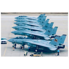1/144 US Navy F-14D Tomcat Fighter VF-213 Black Lions Markings Water Slide Decal 07FC0E-D4 - KOEEK