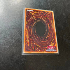 Yugioh Dark Magician Blue-Eyes White Dragon LOCH-JP001 LOCR-JP001 PSER OverFrame 07FC0E-D4 - KOEEK