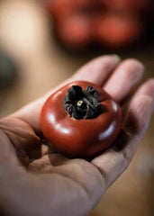 Tea Pet Table Pet Purple Clay Teapet Persimmon From Yixing Tea Set Decoration 07FC0E-D4 - KOEEK
