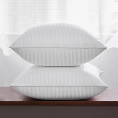 26 x 26 feather pillow cushion, soft cotton cover white cushion, 2 pcs. 07FC0E-D4 - KOEEK [1]