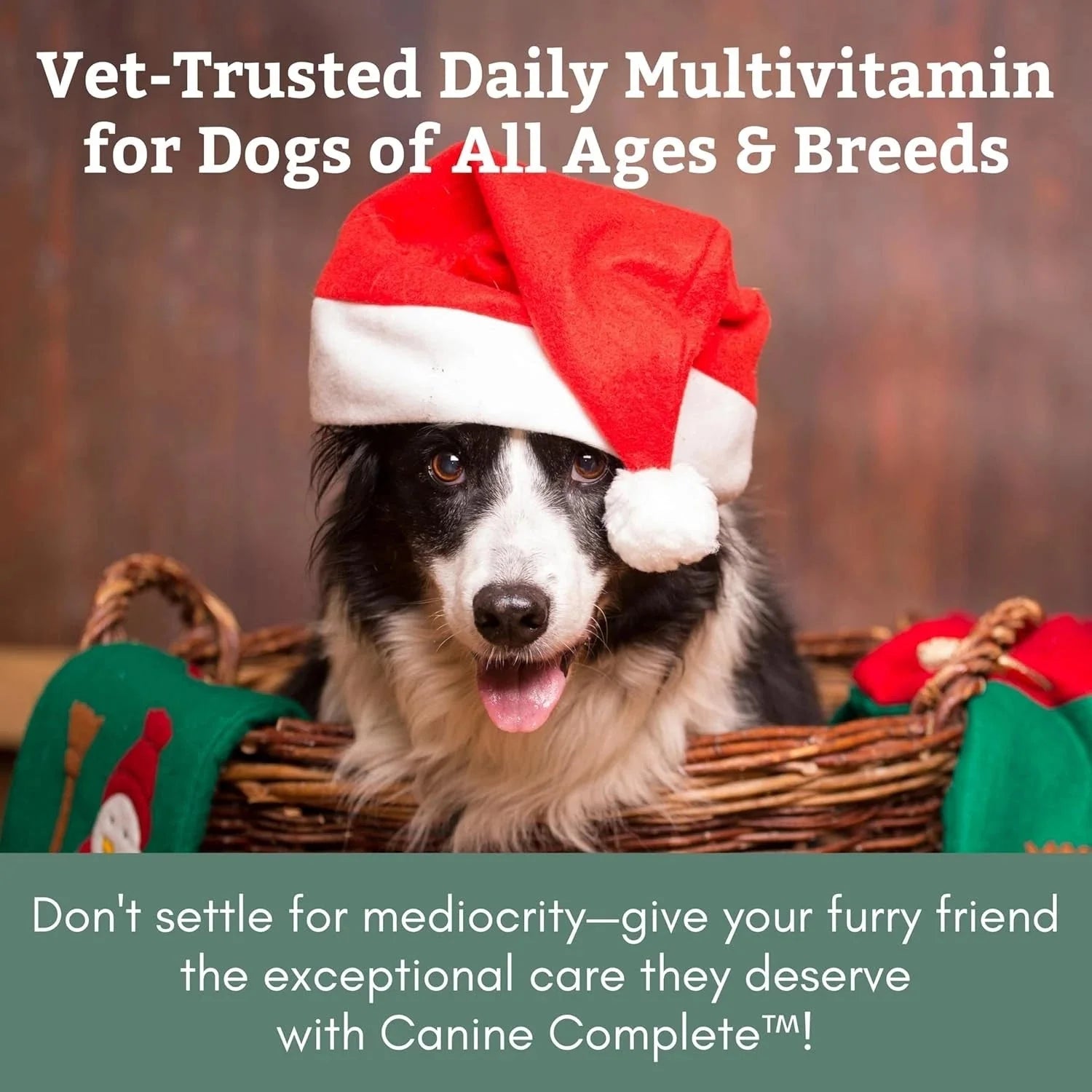 Complete Formula for Dogs - Multivitamin Powder for Dogs - 1 lb. 07FC0E-D4 - KOEEK [2]