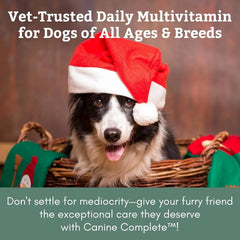 Complete Formula for Dogs - Multivitamin Powder for Dogs - 1 lb. 07FC0E-D4 - KOEEK [2]