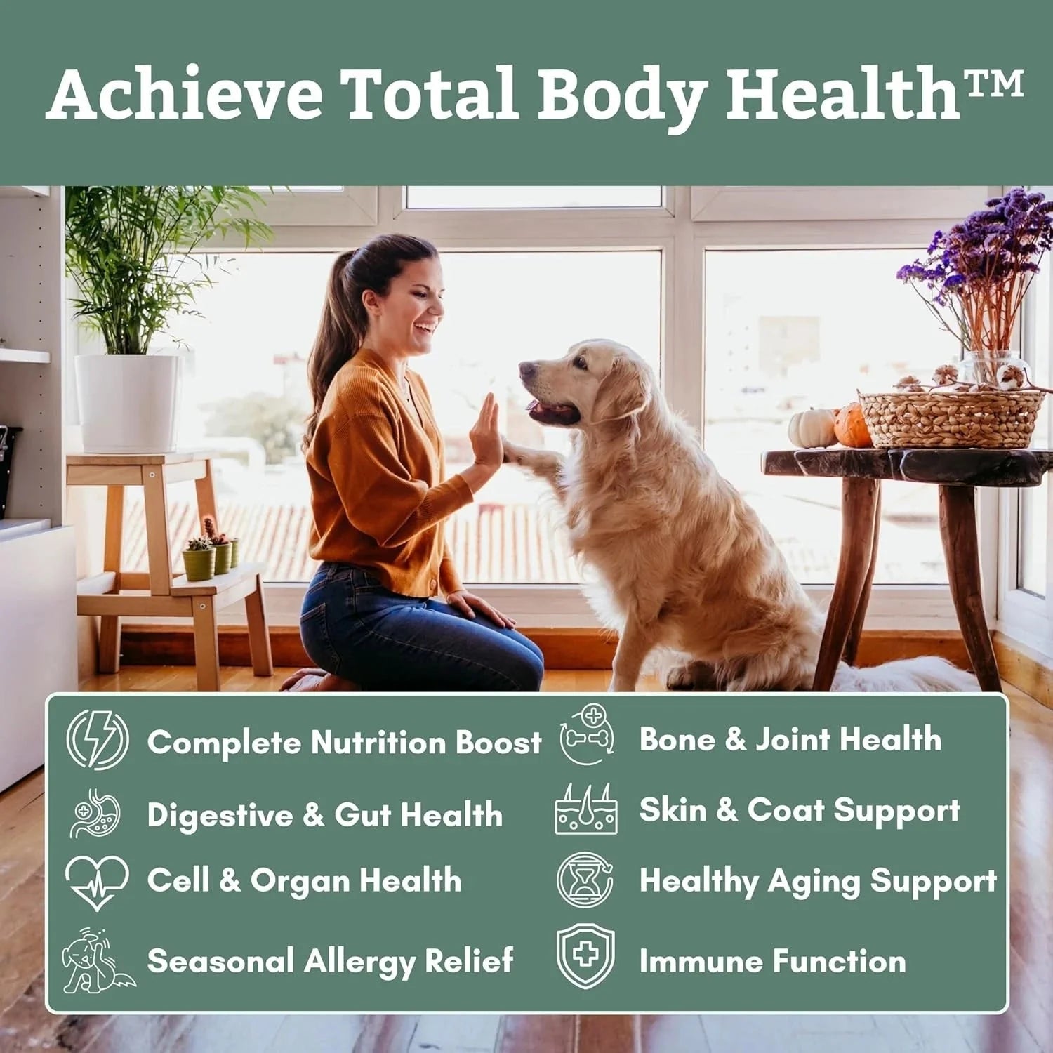 Complete Formula for Dogs - Multivitamin Powder for Dogs - 1 lb. 07FC0E-D4 - KOEEK [4]