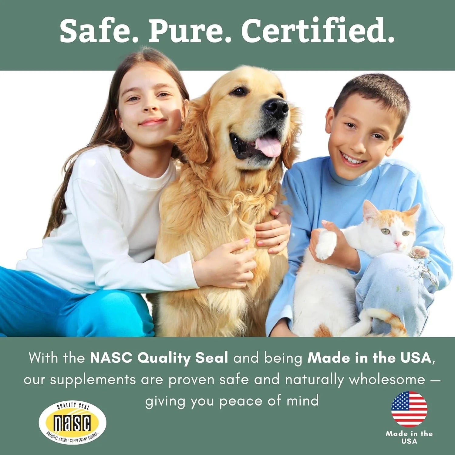 Complete Formula for Dogs - Multivitamin Powder for Dogs - 1 lb. 07FC0E-D4 - KOEEK [6]