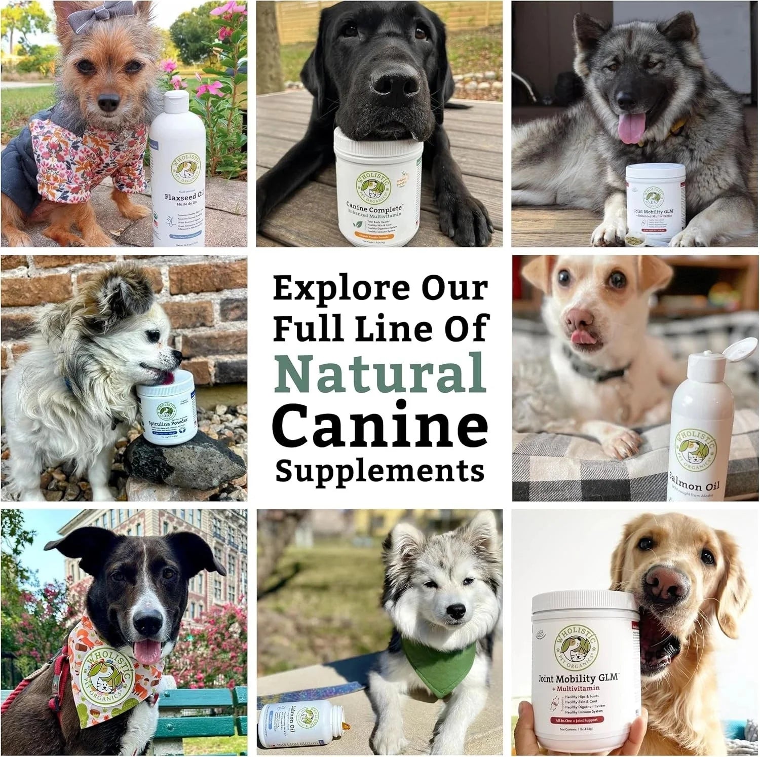 Complete Formula for Dogs - Multivitamin Powder for Dogs - 1 lb. 07FC0E-D4 - KOEEK [9]
