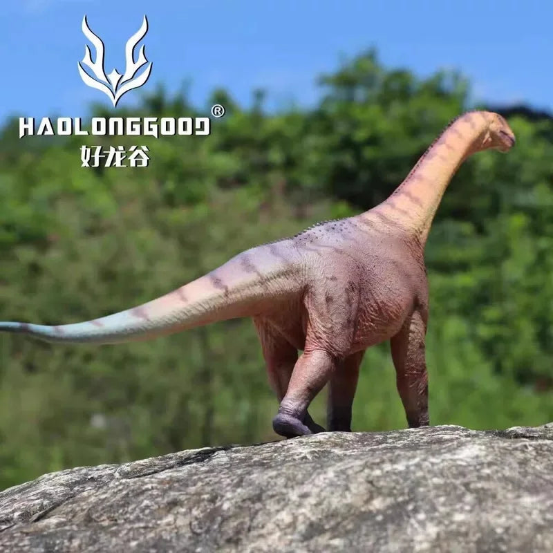 HAOLONGGOOD Camarasaurus Dinosaur Statue PVC Model Display Han Tao IN STOCK HAOLONGGOOD - KOEEK [3]