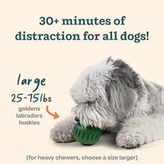 Interactive Dog Toys to Eliminate Boredom - Silicone Dog Treat Molds 07FC0E-D4 - KOEEK [4]