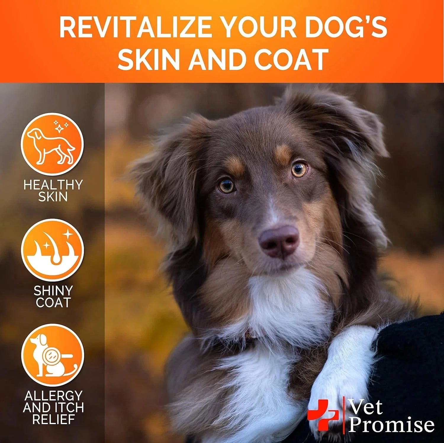 Omega 3 for Dogs - Skin and Coat Supplement - Fish Oil for Dogs 07FC0E-D4 - KOEEK [4]