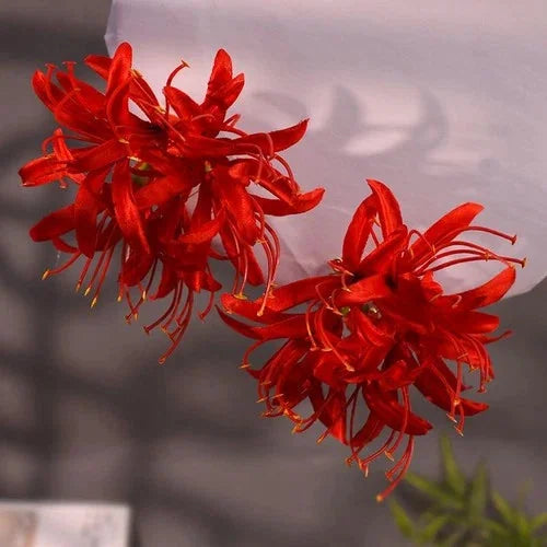 Red Spider Lily Hair Clips Long Tassel Floral Hairpin Hanfu Accessories 2pcs 07FC0E-D4 - KOEEK [2]
