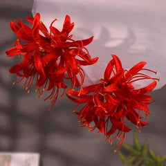 Red Spider Lily Hair Clips Long Tassel Floral Hairpin Hanfu Accessories 2pcs 07FC0E-D4 - KOEEK [2]
