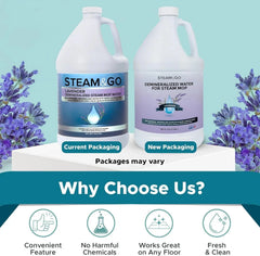 Steam & Go Demineralized Water for Steam Cleaner - PVC-Free Floor 07FC0E-D4 - KOEEK [2]