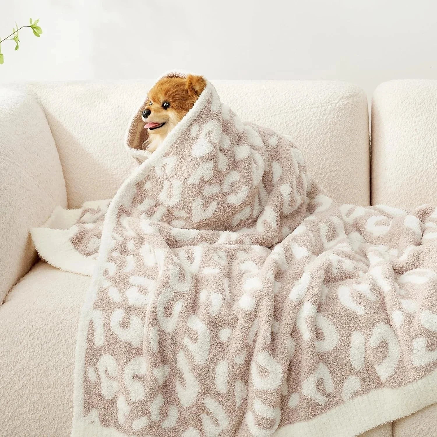 Super soft beige leopard print blanket Double size Dimensions: 60x80 inches 07FC0E-D4 - KOEEK [6]