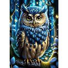 nye Owl Diamond Art Kits for voksne, DIY 5D Diamond Painting Kits with Round